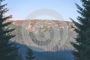 Misty morning view in wet mountain area in slovakian tatra - vintage film look