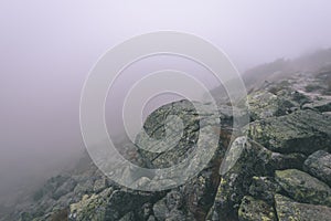 Misty morning view in wet mountain area in slovakian tatra - vintage film look