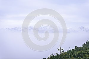 Misty morning view in wet mountain area in slovakian tatra - vintage film look