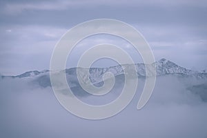 Misty morning view in wet mountain area in slovakian tatra - vintage film look