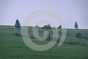 Misty morning view in wet mountain area in slovakian tatra - vintage film look