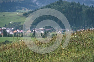 Misty morning view in wet mountain area in slovakian tatra - vintage film look