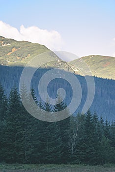 Misty morning view in wet mountain area in slovakian tatra - vintage film look