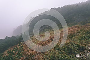 Misty morning view in wet mountain area in slovakian tatra - vintage film look