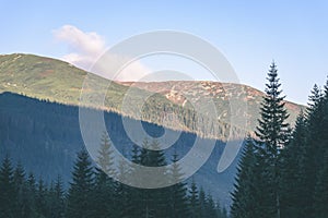 Misty morning view in wet mountain area in slovakian tatra - vintage film look