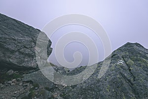 Misty morning view in wet mountain area in slovakian tatra - vintage film look