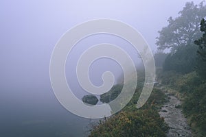 Misty morning view in wet mountain area in slovakian tatra - vintage film look