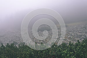 Misty morning view in wet mountain area in slovakian tatra - vintage film look