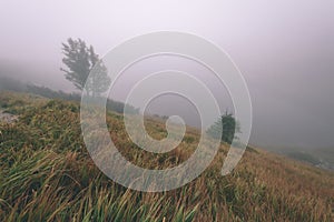 Misty morning view in wet mountain area in slovakian tatra - vintage film look