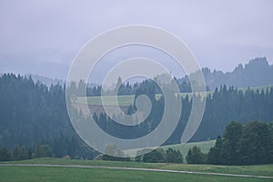 Misty morning view in wet mountain area in slovakian tatra - vintage film look