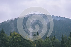 Misty morning view in wet mountain area in slovakian tatra - vintage film look