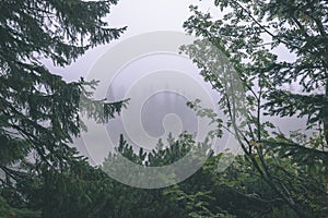 Misty morning view in wet mountain area in slovakian tatra - vintage film look