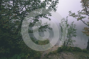 Misty morning view in wet mountain area in slovakian tatra - vintage film look