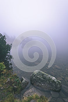 Misty morning view in wet mountain area in slovakian tatra - vintage film look