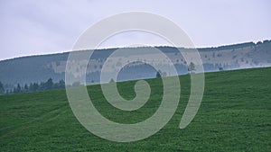 Misty morning view in wet mountain area in slovakian tatra - vintage film look