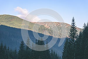 Misty morning view in wet mountain area in slovakian tatra - vintage film look