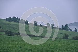 Misty morning view in wet mountain area in slovakian tatra - vintage film look