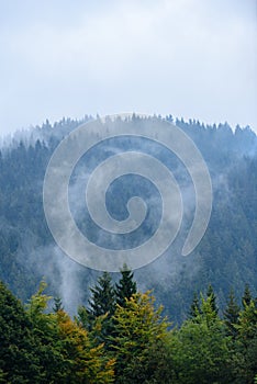 Misty morning view in wet mountain area in slovakian tatra