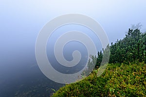 Misty morning view in wet mountain area in slovakian tatra