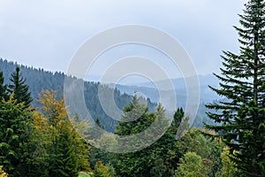 Misty morning view in wet mountain area in slovakian tatra