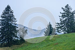 Misty morning view in wet mountain area in slovakian tatra