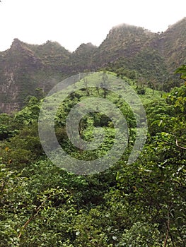 Misty Mountain Cliffs near Hanakapiai Falls along NaPali Coast on Kauai Island, Hawaii.