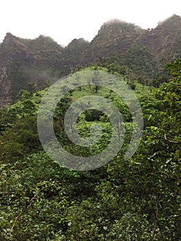 Misty Mountain Cliffs near Hanakapiai Falls along NaPali Coast on Kauai Island, Hawaii.