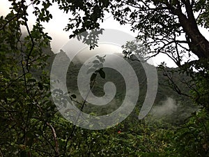 Misty Mountain Cliffs near Hanakapiai Falls along NaPali Coast on Kauai Island, Hawaii.