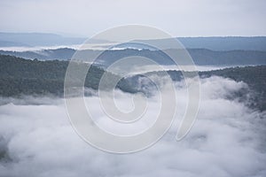 Misty mountain forest landscape in the morning fog and forest tree view on top - Foggy morning mist in valley beautiful in