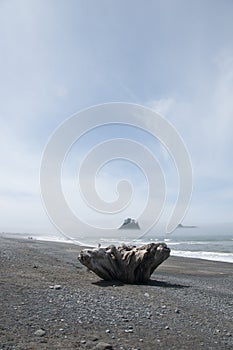 Misty Mountain Island with Driftwood at Rialto Beach. Olympic National Park, WA