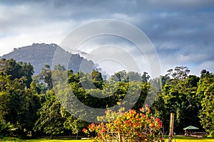 Misty Mountain in Kabalebo in Surinam