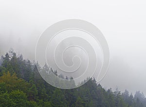 Misty mountain landscape