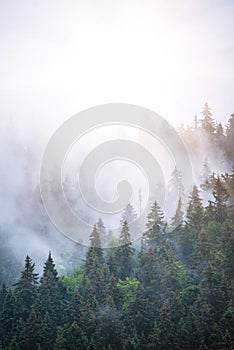 Misty mountain landscape