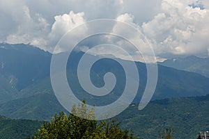 Misty mountain landscape with fir forest. Beautiful landscape with mountain view, cable car.