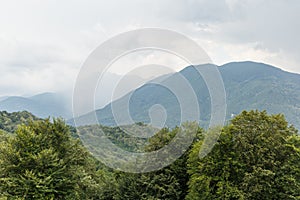 Misty mountain landscape with fir forest. Beautiful landscape with mountain view, cable car.