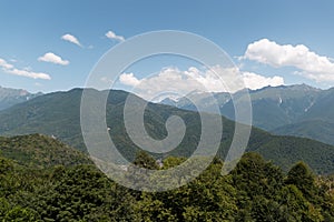 Misty mountain landscape with fir forest. Beautiful landscape with mountain view, cable car