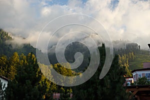 Misty mountain landscape with fir forest. Beautiful landscape with mountain view, cable car. Postcard view