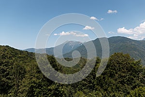 Misty mountain landscape with fir forest. Beautiful landscape with mountain view, cable car. Postcard view