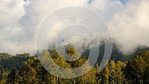 Misty mountain landscape with fir forest. Beautiful landscape with mountain view, cable car. Postcard view. Travel concept