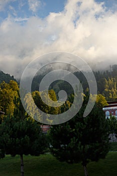 Misty mountain landscape with fir forest. Beautiful landscape with mountain view, cable car. Postcard view. Travel concept