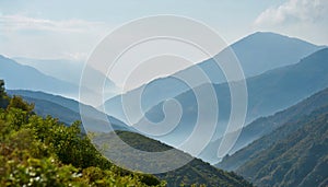 Misty mountain landscape. Foggy weather