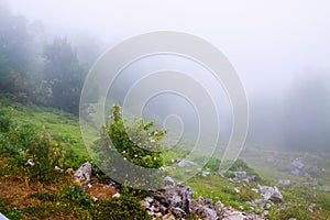 Misty mountain landscape photo