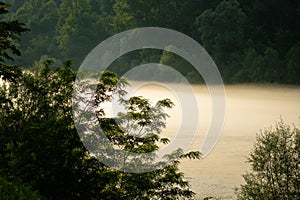 Misty mountain river with forest on the banks.