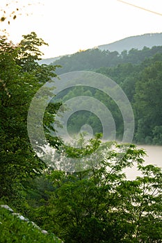 Misty mountain river with forest on the banks.