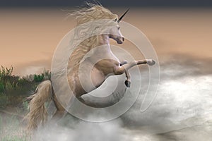 Misty Mountain Unicorn