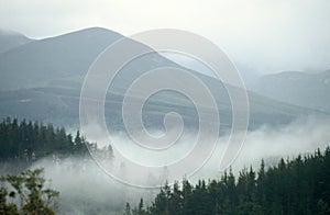 Misty Mountain walk in nature