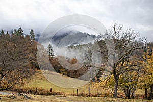Misty mountains - open field and fence with trees and fog on the mountians in the background in autumn photo