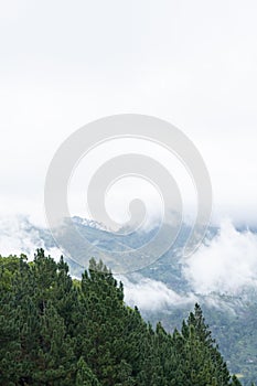 Misty Mountains Wall Decor Print or Poster