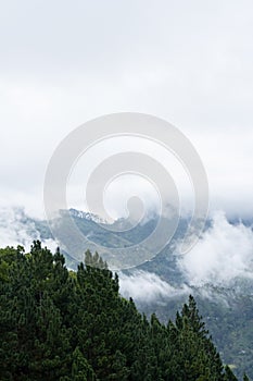 Misty Mountains Wall Decor Print or Poster