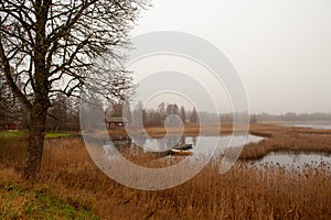 Misty November morning